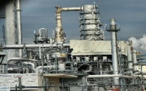 PETROLIO3.jpg