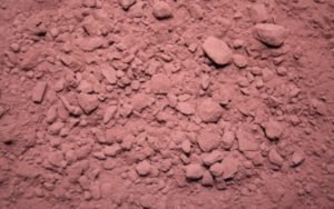 CACAO