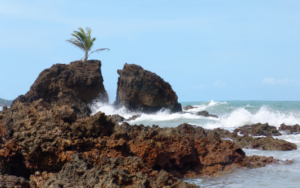 BRASILE 1
