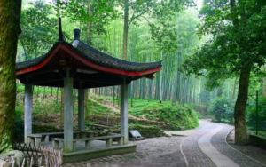 12 CINA